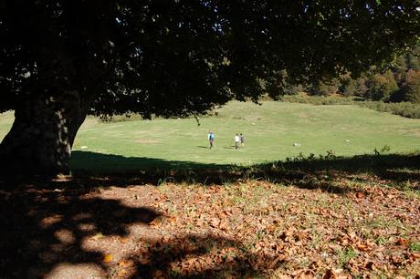 Ruta de Soto de Sajambre al Refugio de Vegabaño