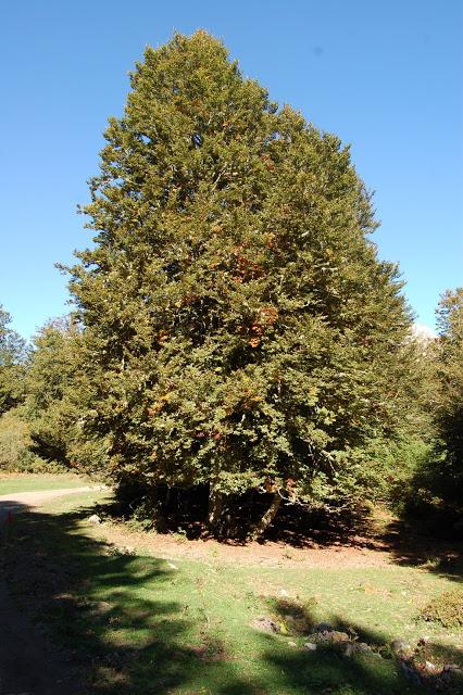 Ruta de Soto de Sajambre al Refugio de Vegabaño