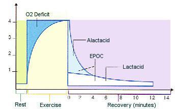 EPOC, COPD, enfermedades pulmonares y oxígeno