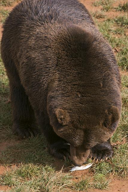 Parque de la Naturaleza Cabárceno