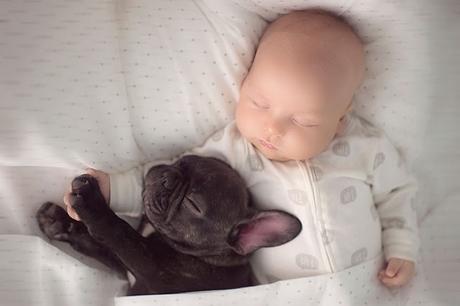 La fotógrada Ivette Ivens nos muestra una historia de amor entre un bebé y su mejor amigo, un bulldog