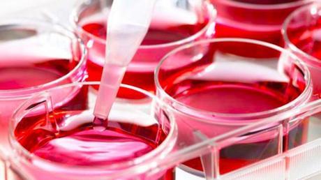 El uso de vitaminas, minerales y aminoácidos en la medicina ortomolecular El uso de vitaminas, minerales y aminoácidos en la medicina ortomolecular