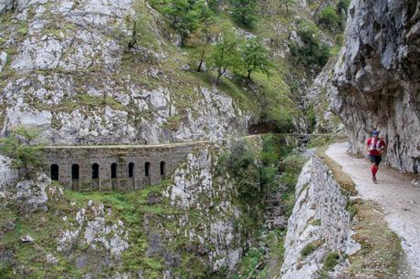 En muchos trozos puede apreciarse el canal. Foto: Sara Gordón