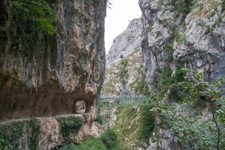 En la ruta nos encontramos con túneles, puentes, cascadas... Foto: Sara Gordón