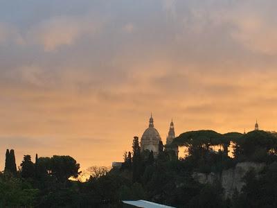 Y15W37: MUERTE SÚBITA