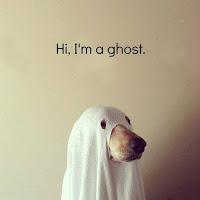 La noche en la que los muertos caminan a nuestro lado.