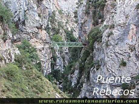 Ruta Caín Terenosa: Puente Rebecos en el Cares