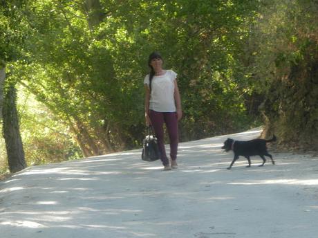 Un paseo romántico (outfit)