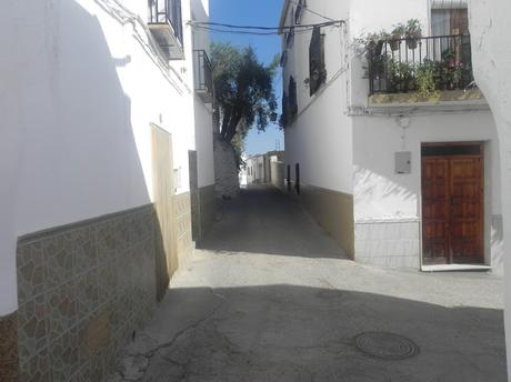 Un paseo romántico (outfit)