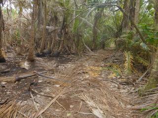 TONGA: VAVA’U EN BICICLETA