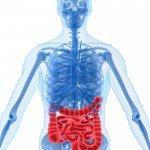 Datos sobre el Síndrome del Intestino Irritable