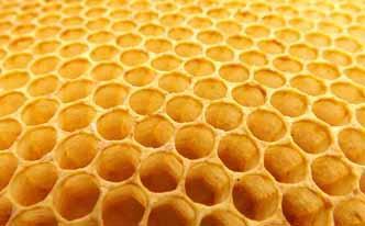 Propóleo para la garganta inflamada Propóleo para la garganta inflamada