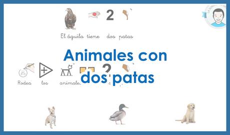 animales