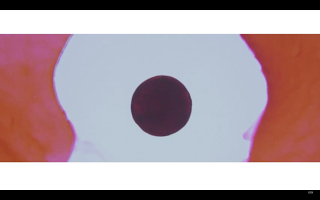 Deerhunter estrena 'Living My Life', tercer adelanto de su nuevo disco