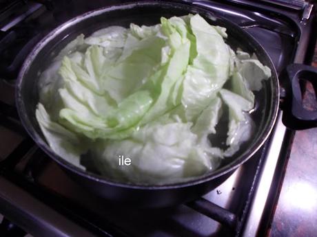 Niños envueltos en hojas de repollo