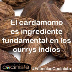 Cardamomo