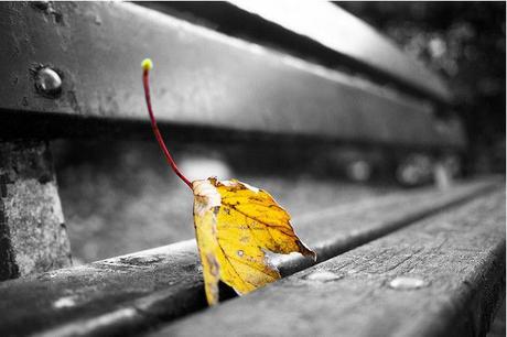 La sabiduría de la rendición