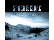 Spheniscidae Perro mano Let's Show