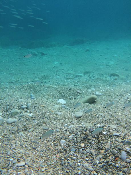 Ibiza Island - September 2015