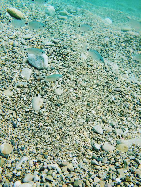 Ibiza Island - September 2015