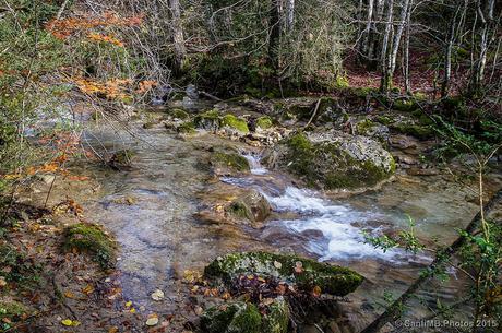 El ruido del agua