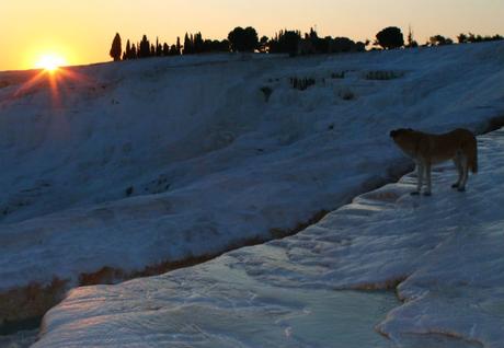 pamukkale6