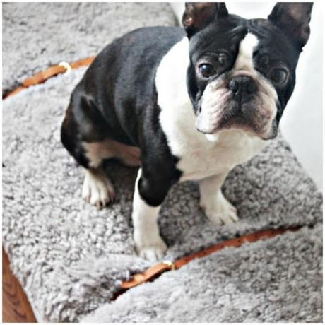 Cinturones ideas para decorar