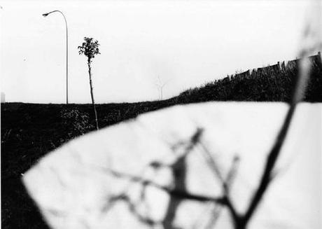 La chispa de Euclides La chispa de Euclides