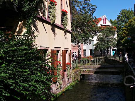 Friburgo y Lago Titisee. Selva Negra