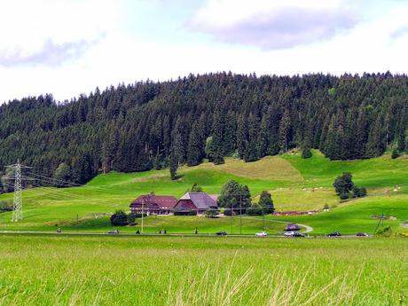 Friburgo y Lago Titisee. Selva Negra