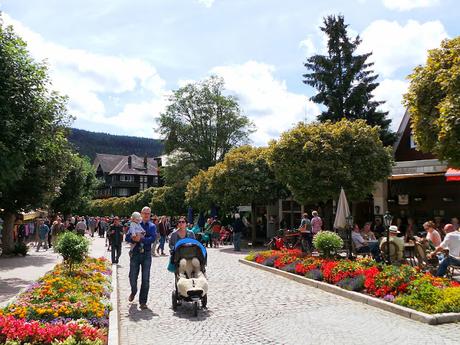 Friburgo y Lago Titisee. Selva Negra