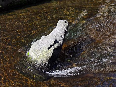 Friburgo y Lago Titisee. Selva Negra