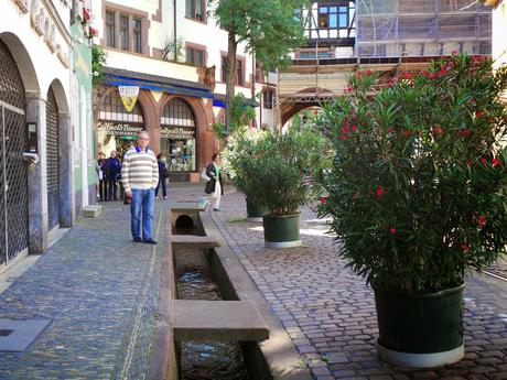 Friburgo y Lago Titisee. Selva Negra