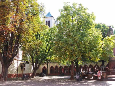 Friburgo y Lago Titisee. Selva Negra