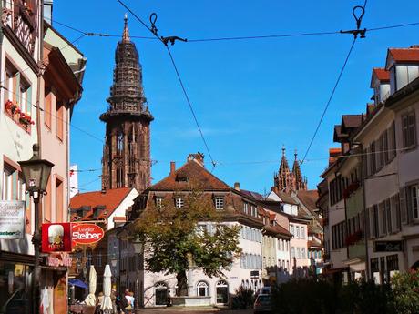 Friburgo y Lago Titisee. Selva Negra