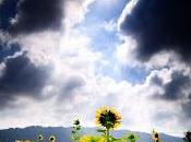 visto nubes oscuras...