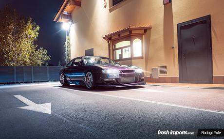 s14-a-purple-viena-waiting