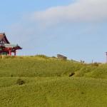 Breve historia de Hungría Japón