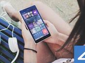 Disponible 4shared 2.0.0 BETA para Windows Phone
