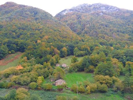 Ruta del Gumial en Felechosa (Asturias) 