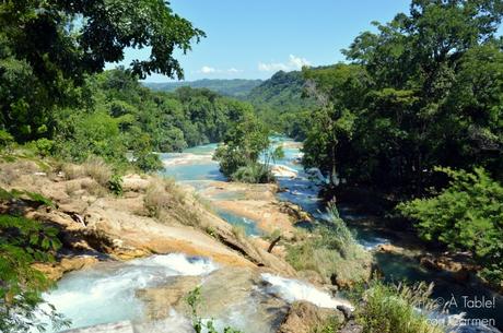 Palenque, en medio de la Selva Chiapateca