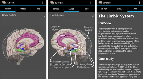 Las 5 mejores apps de Psicología