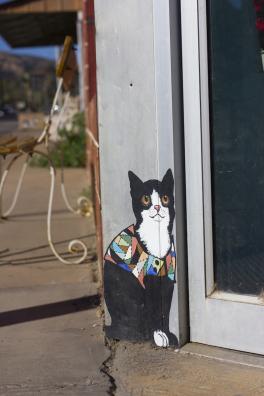 Los 121 gatos de Miami, Arizona 5-cats-of-miami