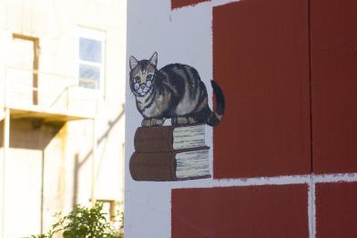 Los 121 gatos de Miami, Arizona 4-cats-of-miami