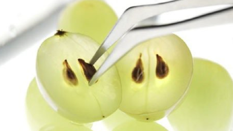 Aceite de semillas de uva: Elixir de #belleza Aceite de semillas de uva: Elixir de #belleza