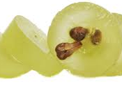 Aceite semillas uva: Elixir #belleza