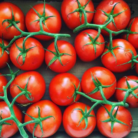 tumblr_nu9hd5OONV1su1h39o1_500