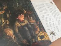 Harry Potter (Ed. ilustrada) - Fotorreseña