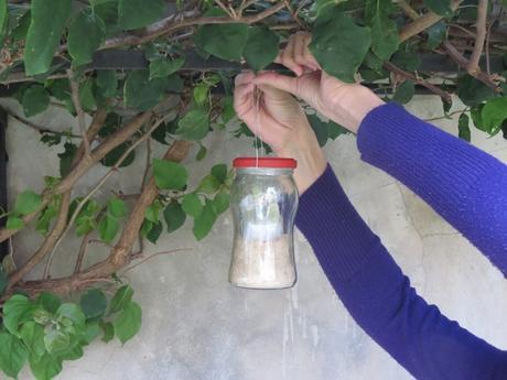 DiY – Fanales Colgantes con Frascos 7 - Colgando el fanal