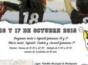 Torneo C.D. Condequinto